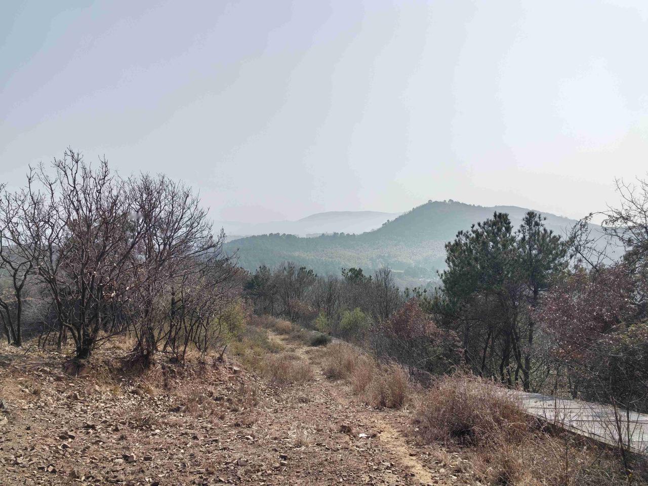 虽然离得很近，但这里的山，我居然还是第一次来拜访——

却也是别有一番天地，山林