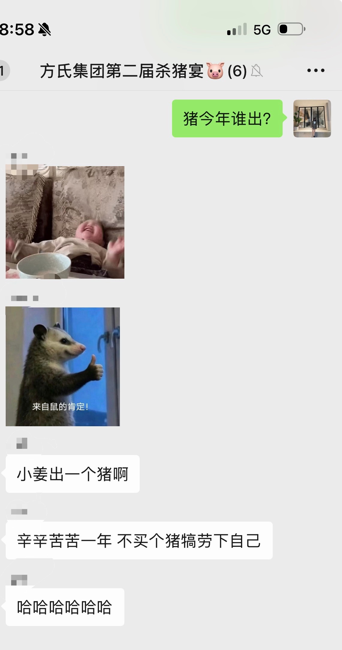 还没过年，家养猪已经定好了，哈哈哈哈哈哈[doge] ​​​