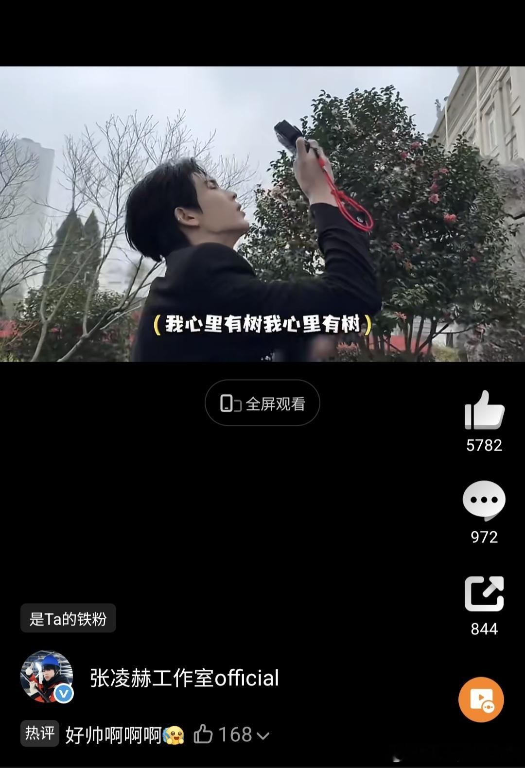 今夕赫夕 都说了是最爱🌲的姐夫🥰今夕赫夕