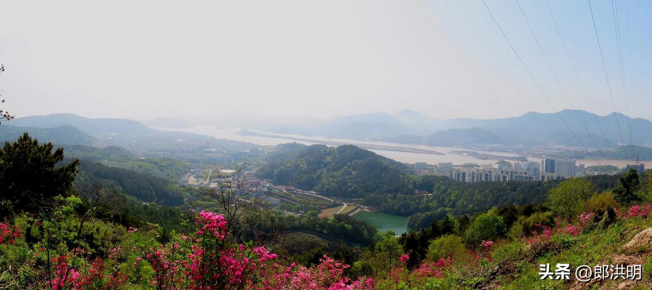 站在大榭山岗，看四面山花.烂漫，山海万千，心旷神怡，北仑