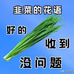 散户总以为庄家盼着涨，其实庄家盼的是跌。为啥？因为涨上去没人接盘，那叫自娱自乐；