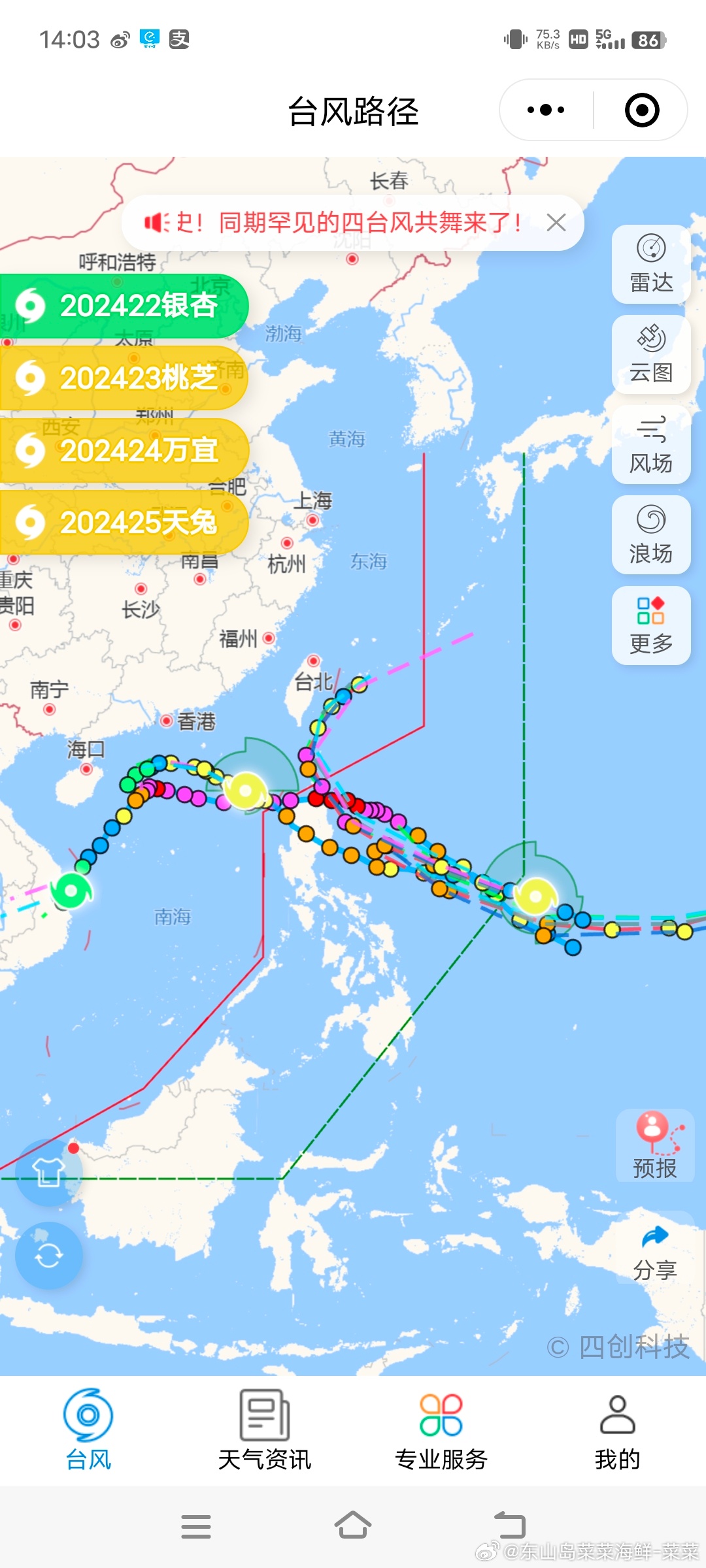 4个台风同框是真罕见啊，前期路径还都差不多[打脸][打脸] ​​​