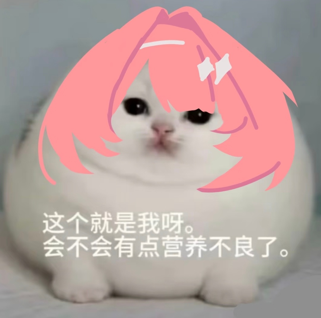 蕾咪不肥 