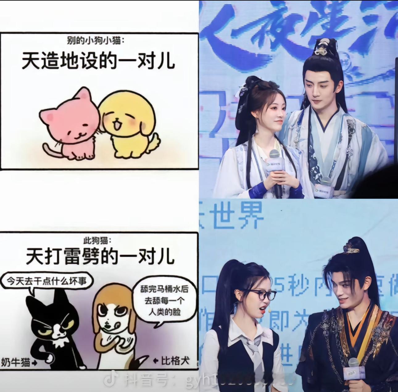 天造地设的一对儿：姐姐姐夫天打雷劈的一对儿：子期妙妙 ​​​