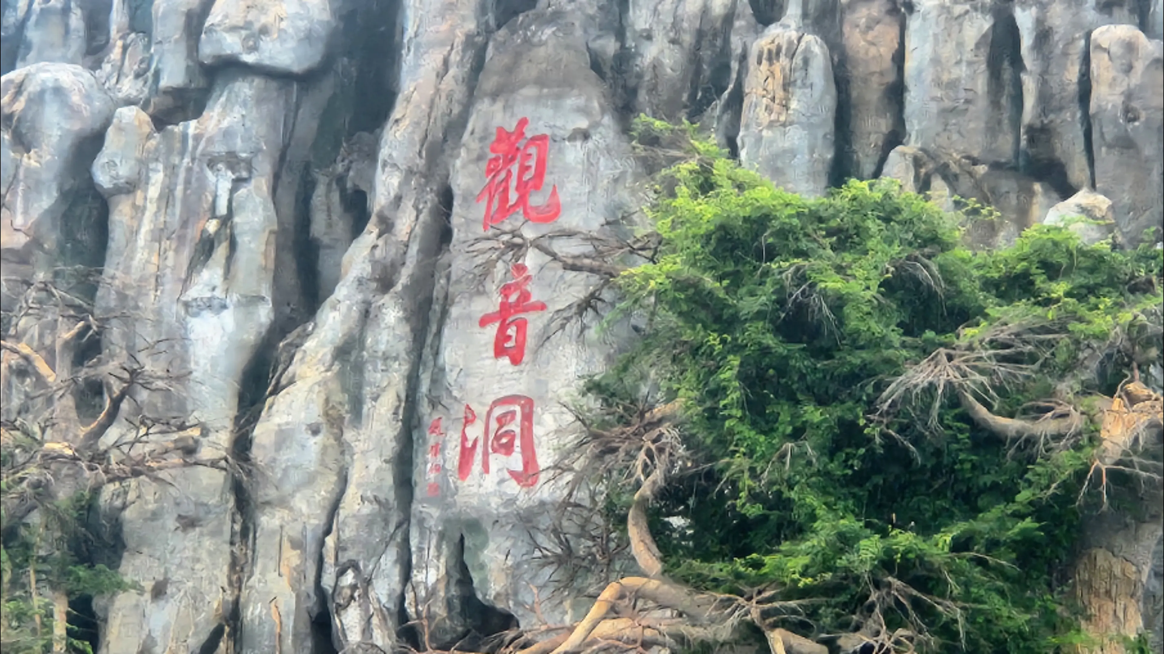 端午落雨，独自漫步溧水东庐山观音寺，山间雾气裹着细碎雨丝，整条山道安安...