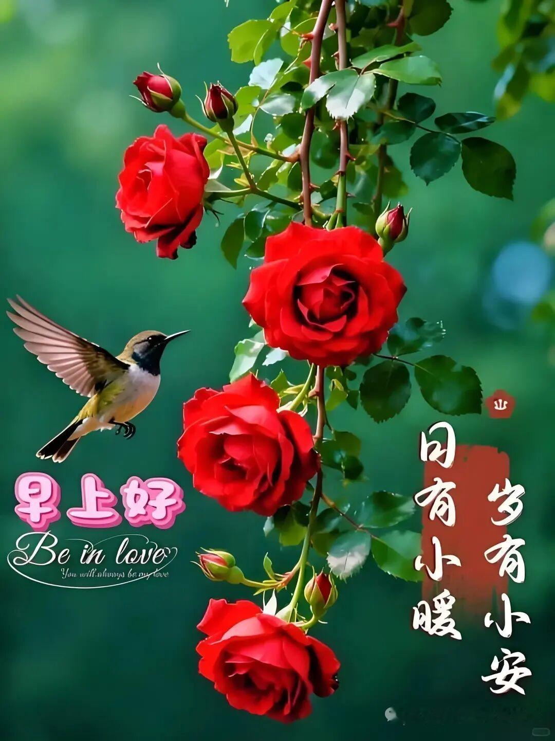 我认为不敢还是注意安全点好，自动驾驶还是要注意安全的