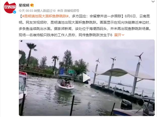 昆明多方回应滇池现大面积鱼群跳跃：具体情况不便对外公布，会留意并进一步跟踪
网传