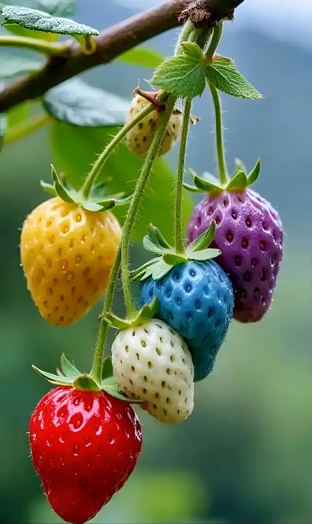 应当组建一个民间打假队伍，若查证为假冒伪劣产品，打假人员可按罚款的一定百分比获得