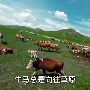 家人们，准备准备，要上班了[苦涩]不想上班我的日常plog ​​​