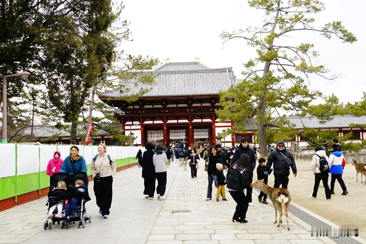 奈良的名寺：“东大寺”。