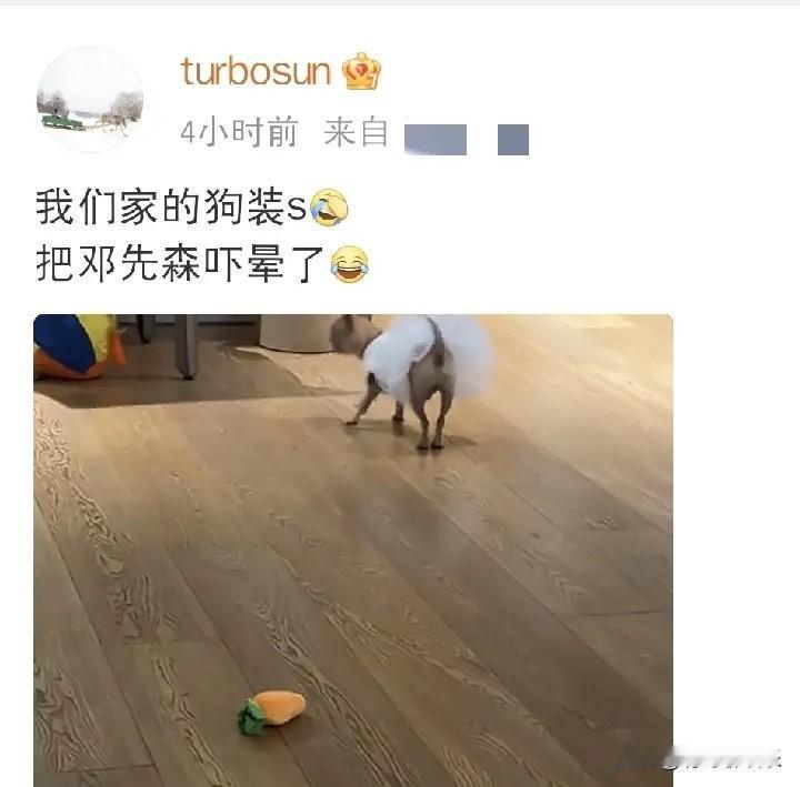 邓超居然被家里的小狗芒果给吓“晕”了，你敢信？

5月3号下午，孙俪发了个视频，