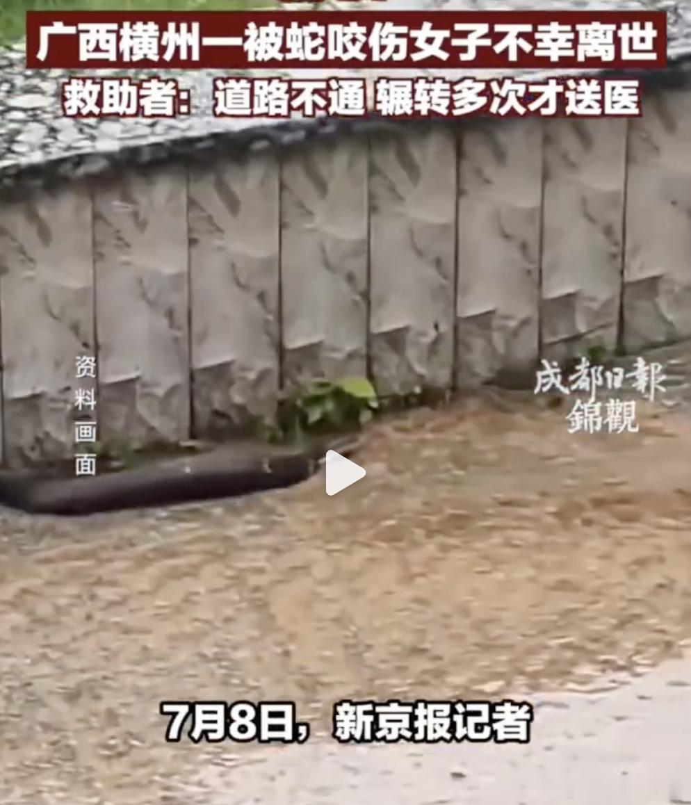 广西横州一被蛇咬伤女子不幸离世一开始大家都听到类似动物园动物跑出来的故事，不止一