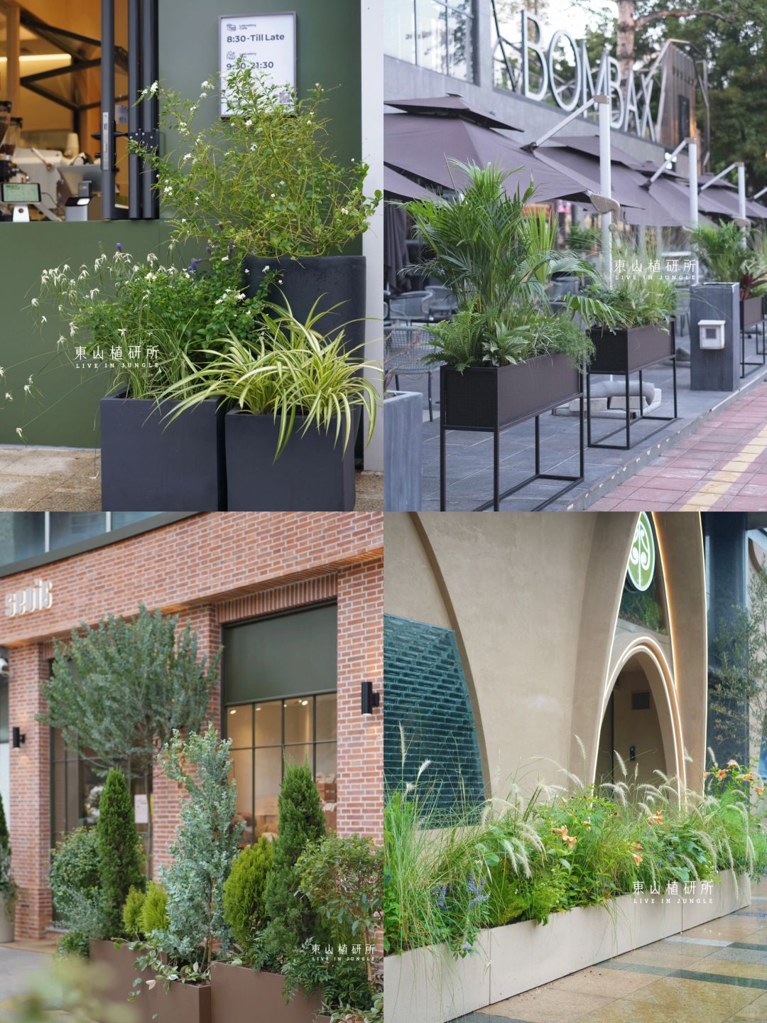 户外花箱合集🌲打造氛围感店面空间
