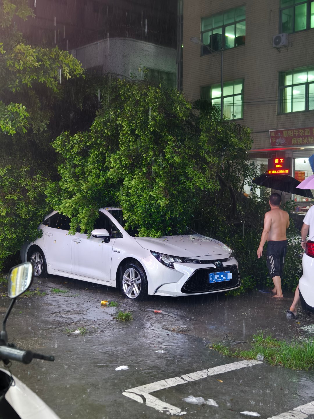 天 来台风啦 ​​​