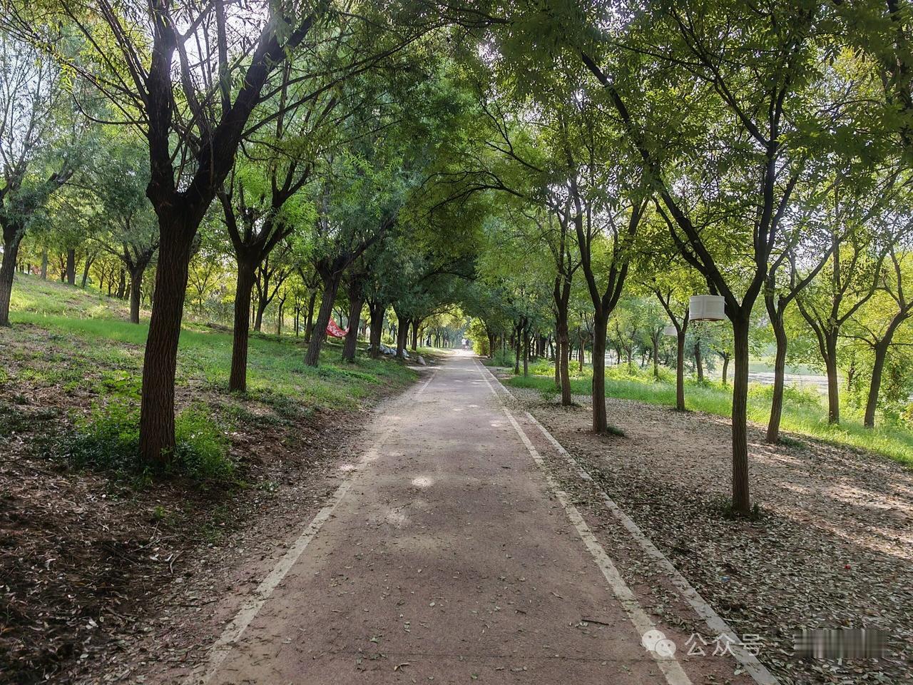 天净沙·路
平途客旅穿梭，
僻蹊丘壑嵯峨。
捷径难寻梦锁。
人生须妥，
适宜方是