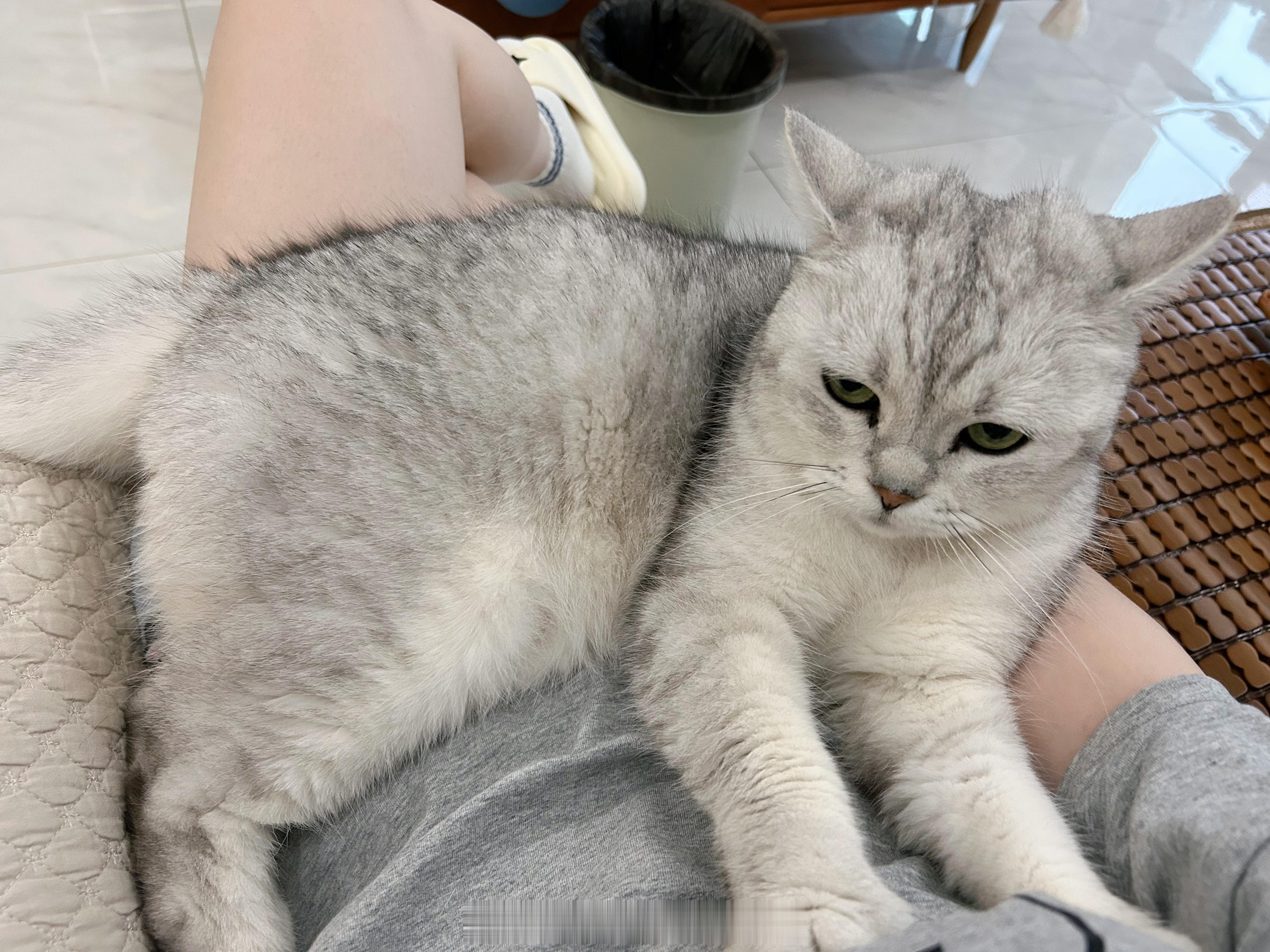 我不就是出去了半天•ᴗ•💧#喵趣横生# ​​​