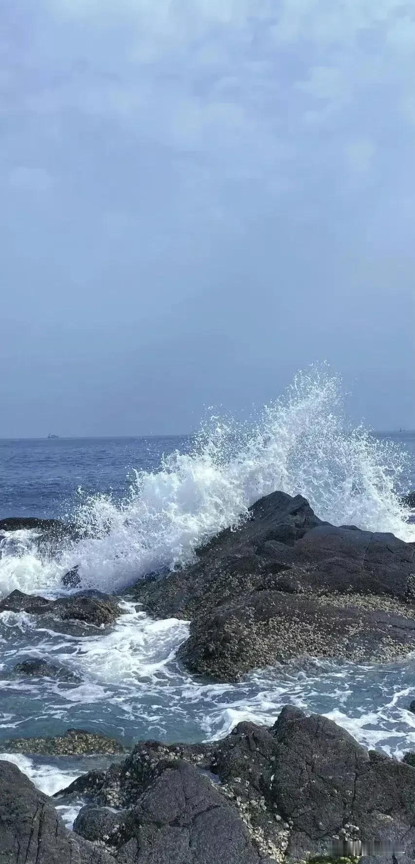 冬日生活打卡季