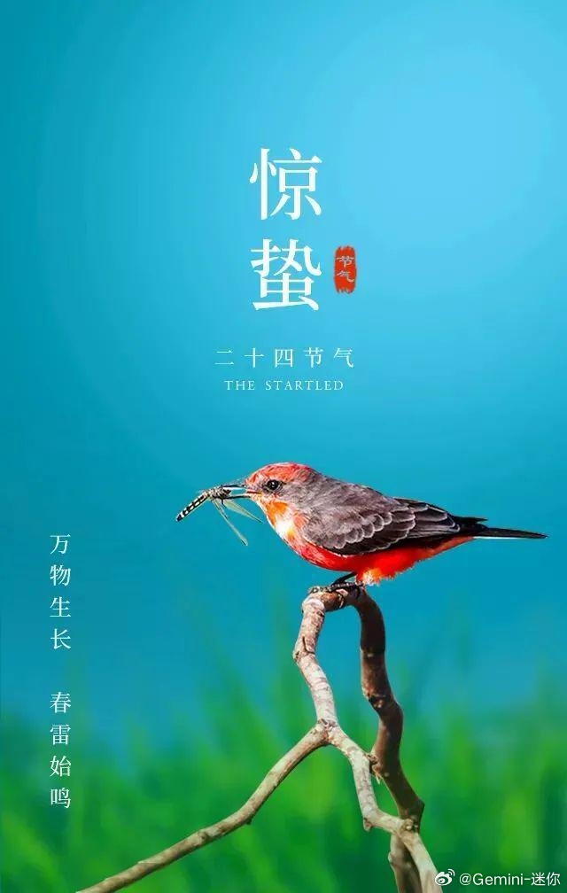 3月5日，比亚迪将发布颠覆性技术具体是什么方面的，大家肯定都知道方向，核心就是充