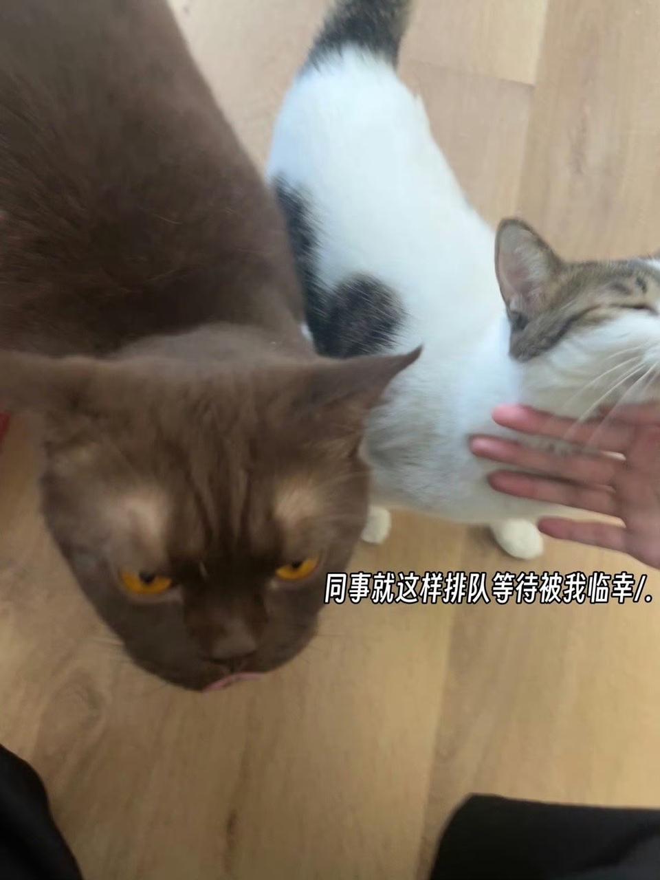 复工第二周，别的没学会，先学会了午饭焦虑。一到饭点就开始刷外卖软件，看来看去，越