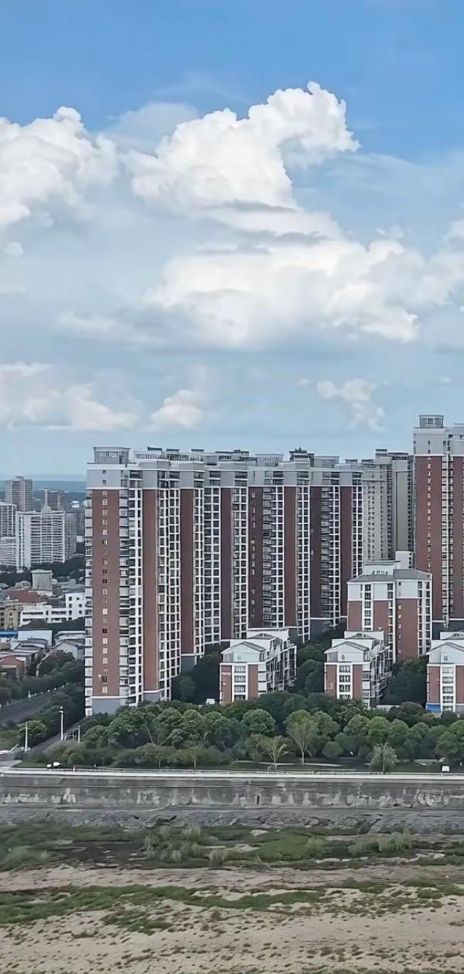 我在安陆拍到了哈基米大战哥斯拉！