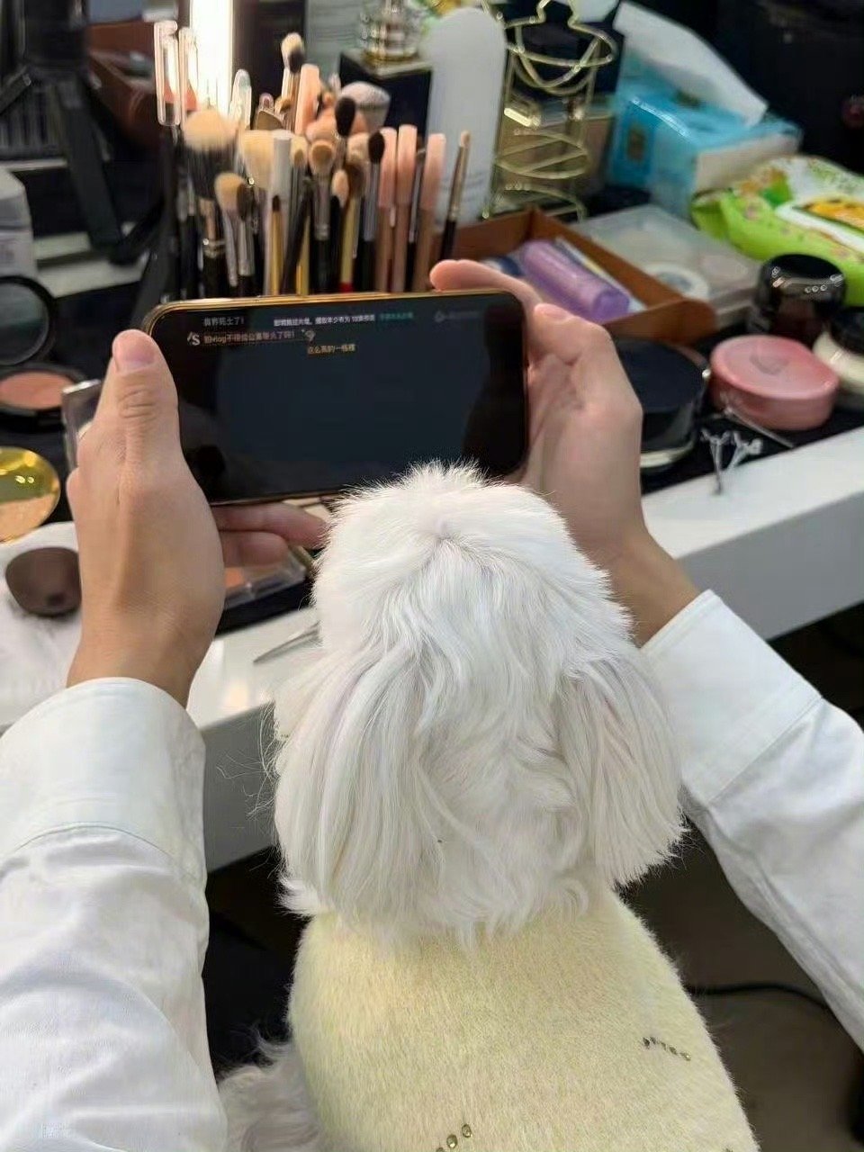 彭昱畅的追剧搭子是小狗 谁能拒绝一只陪你看剧还等彩蛋的修狗！彭昱畅和小狗🐶一人