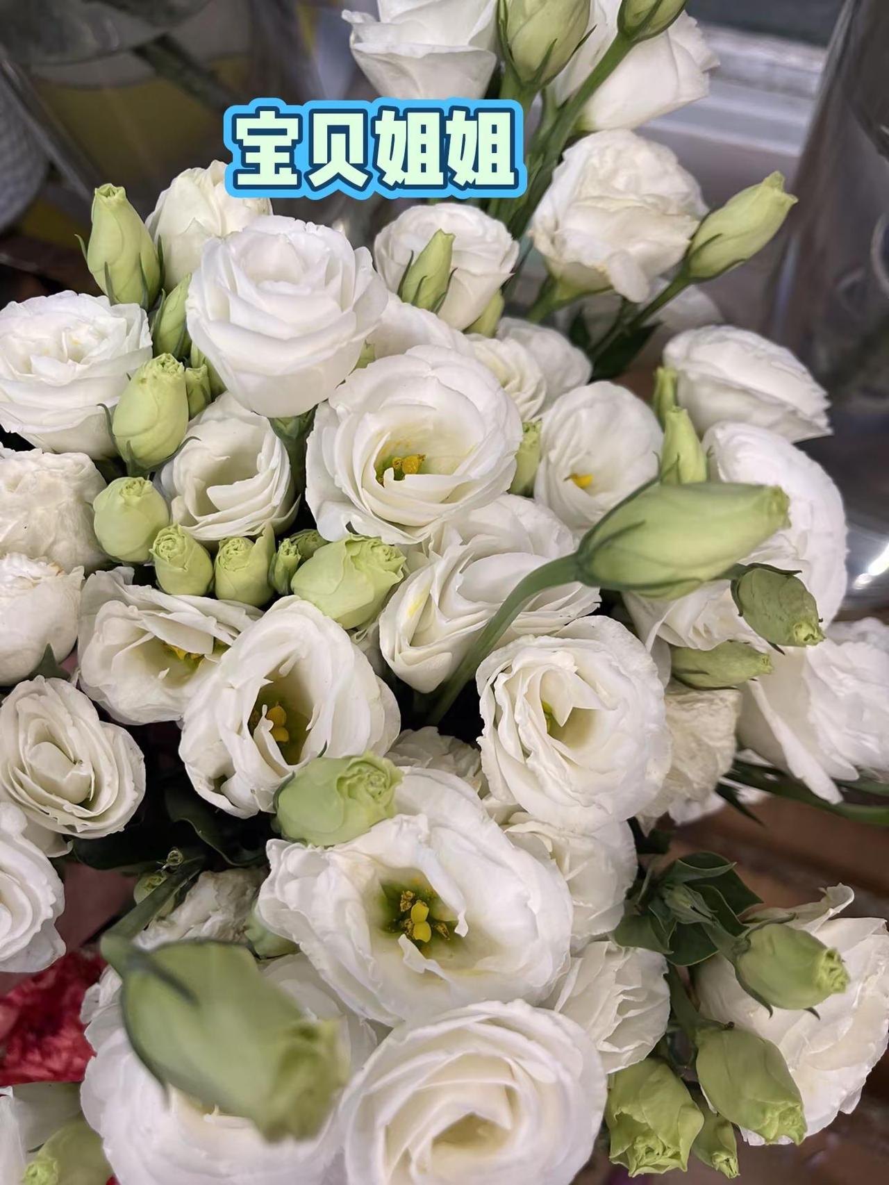 世界这么大，懂你的却没有！