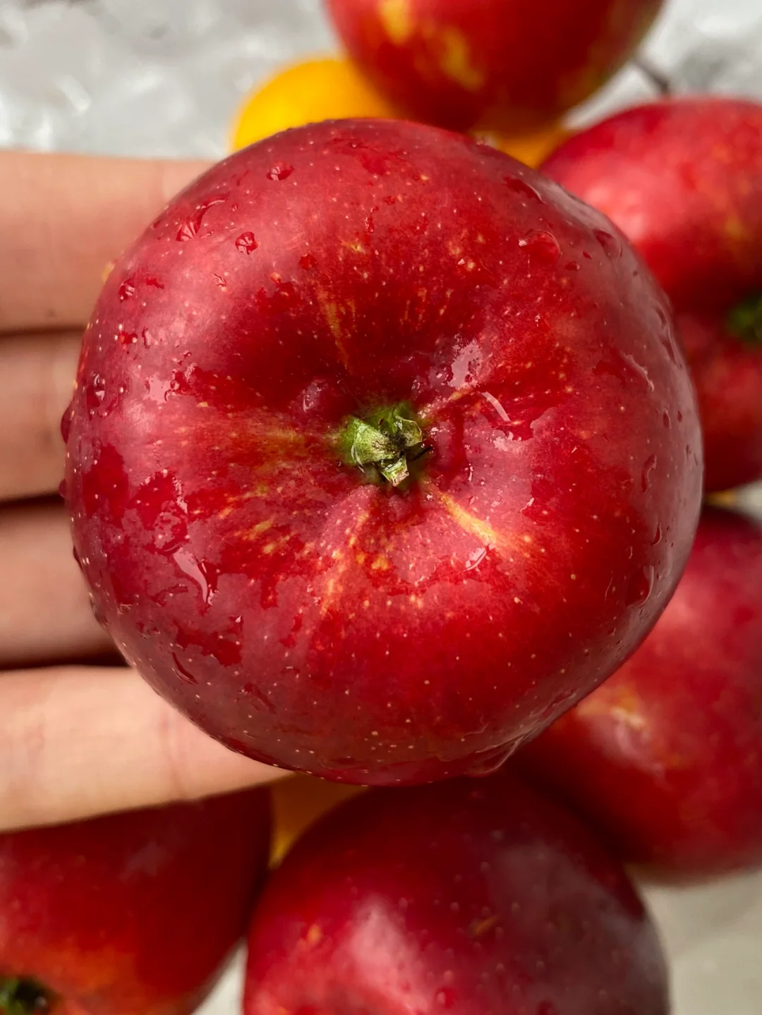 吃过一次就上瘾的东北水果🤤