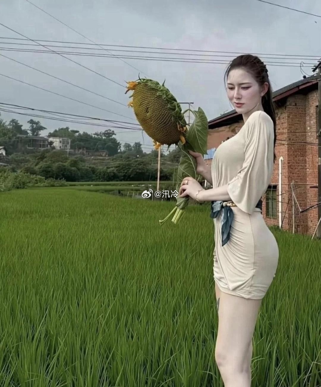 一下就明白了什么是白！ 