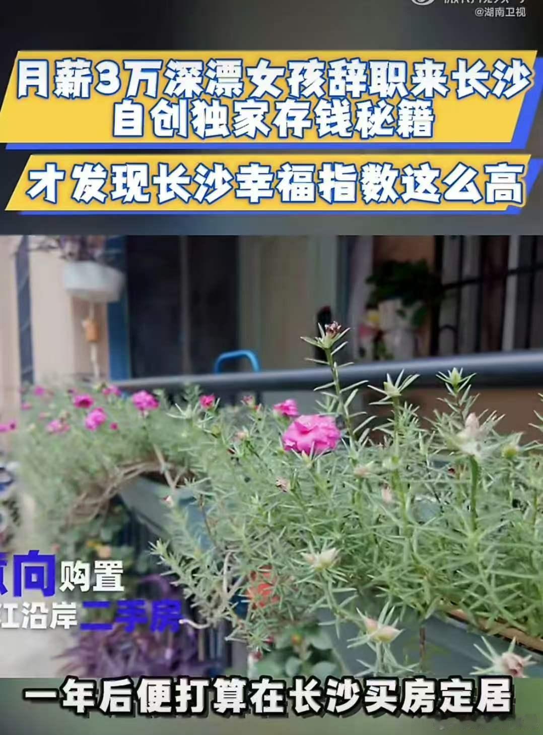 江西女孩放弃深圳高薪来长沙买车买房你好湖南收看你好湖南看见异乡青年的长沙故事，江