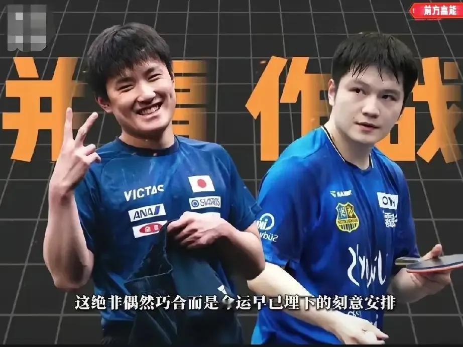 张本智和跑了？与其受限压抑，不如在欧洲赛场和顶尖选手切磋历练
张本智和带着家人移