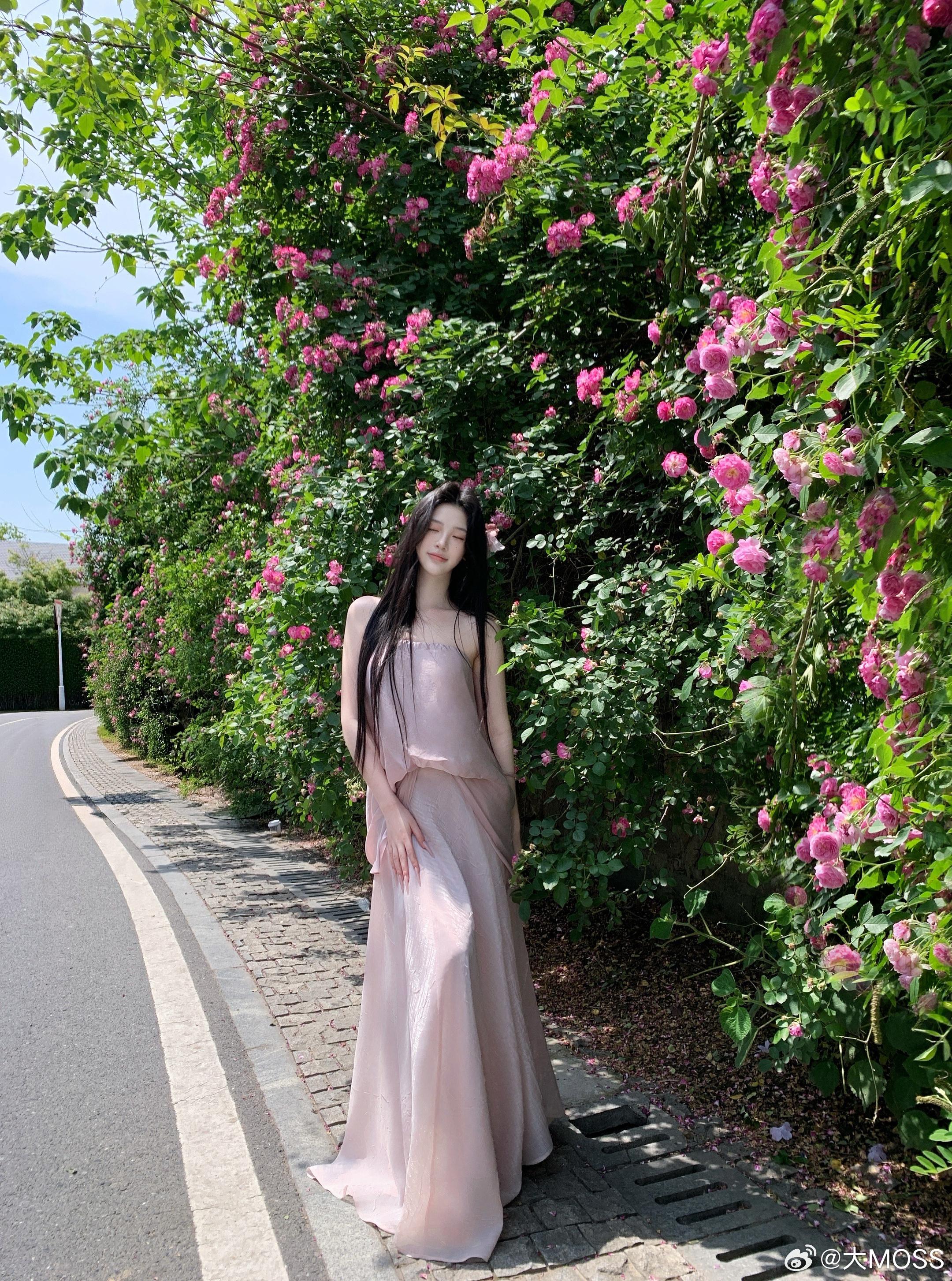 𝑴𝑶𝑺𝑺 𝟓.𝟑𝟏/𝟐𝟎:𝟎𝟎𝒑𝒎【粉雾清辉】🎀🌺