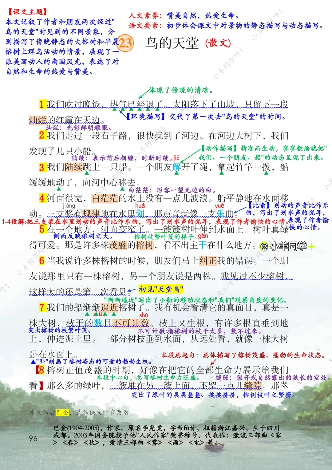 五年级上册🌻第23课《鸟的天堂》