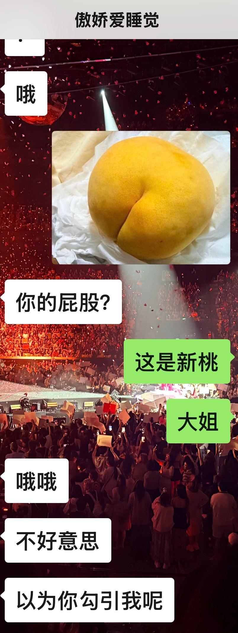 傲娇爱睡觉的癖好就这样！ 