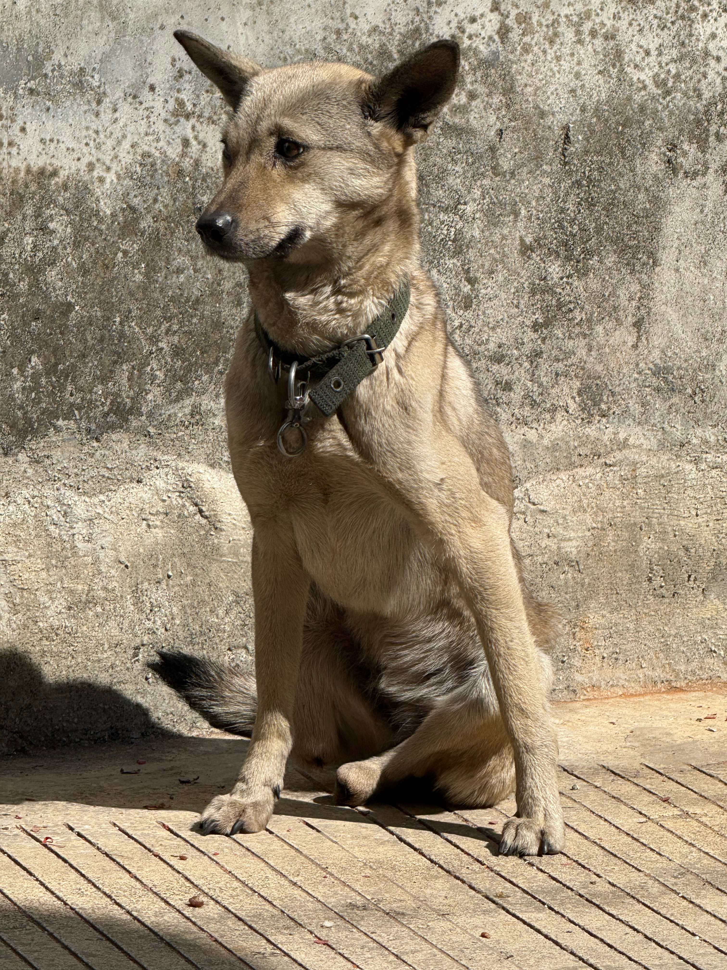 曝齐思钧刘梦章分手你俩谁啊？不认识 