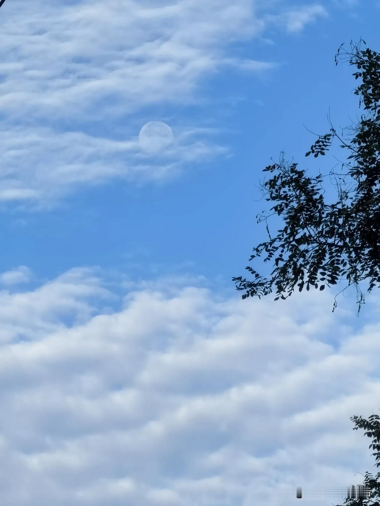 这个秋天雨水太多，打湿的不仅仅是落叶，还有心情，阴沉的上午像要哭的成年人一样难过