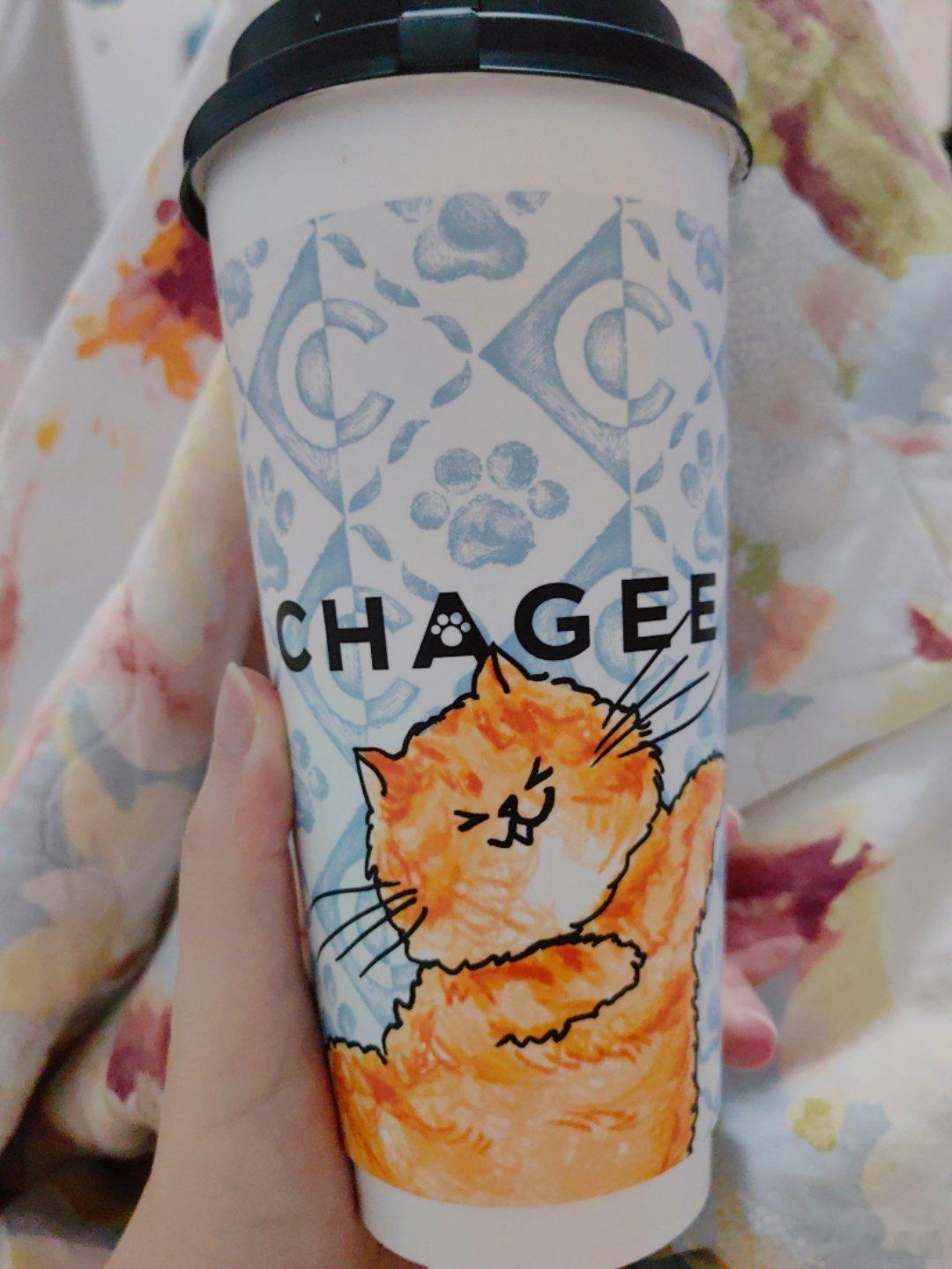 霸王茶姬换包装了🧋猫猫🐱还怪可爱的～✨✨#生活手记# ​​​