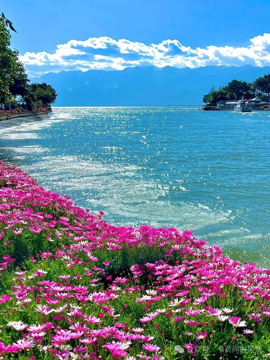 海阔凭鱼跃，
莲香任赏析。