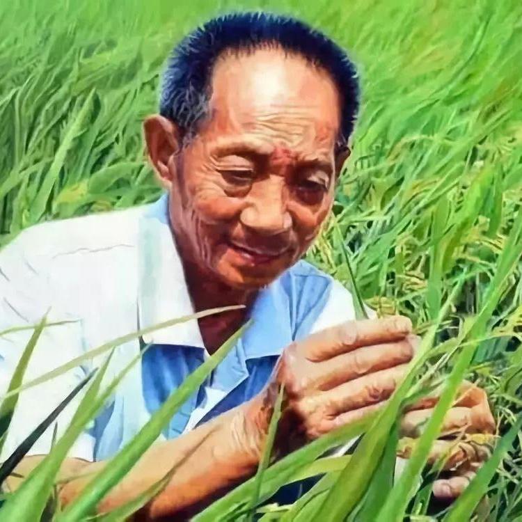 致敬两位爷爷:一个喂饱我们，一个护我们周全。这勋章比星星还亮!