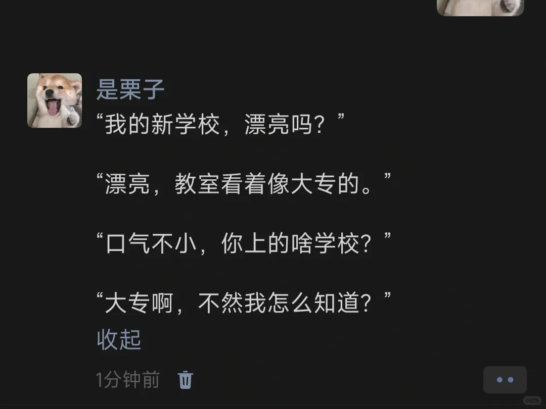“我的新学校，漂亮吗？”