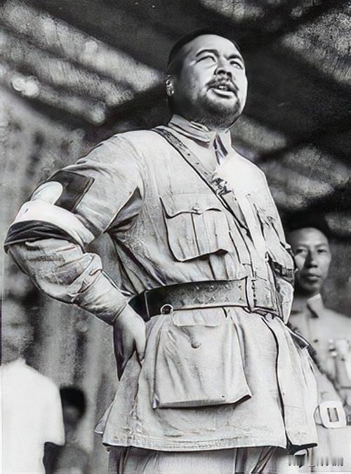 张学良在中原大战时出兵是因为蒋介石的命令吗？

这话大谬不然，东北易帜其实只是换