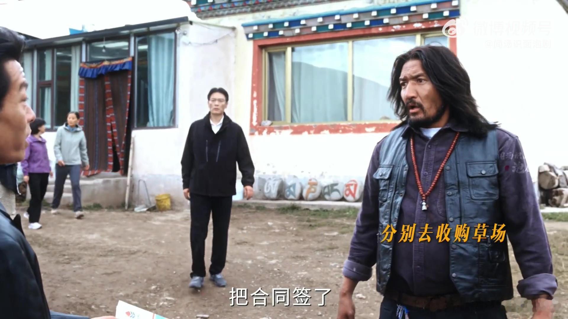 生命树下篇狂飙上了 生命树下篇这紧张刺激的氛围，让我仿佛置身于一场惊心动魄的冒险