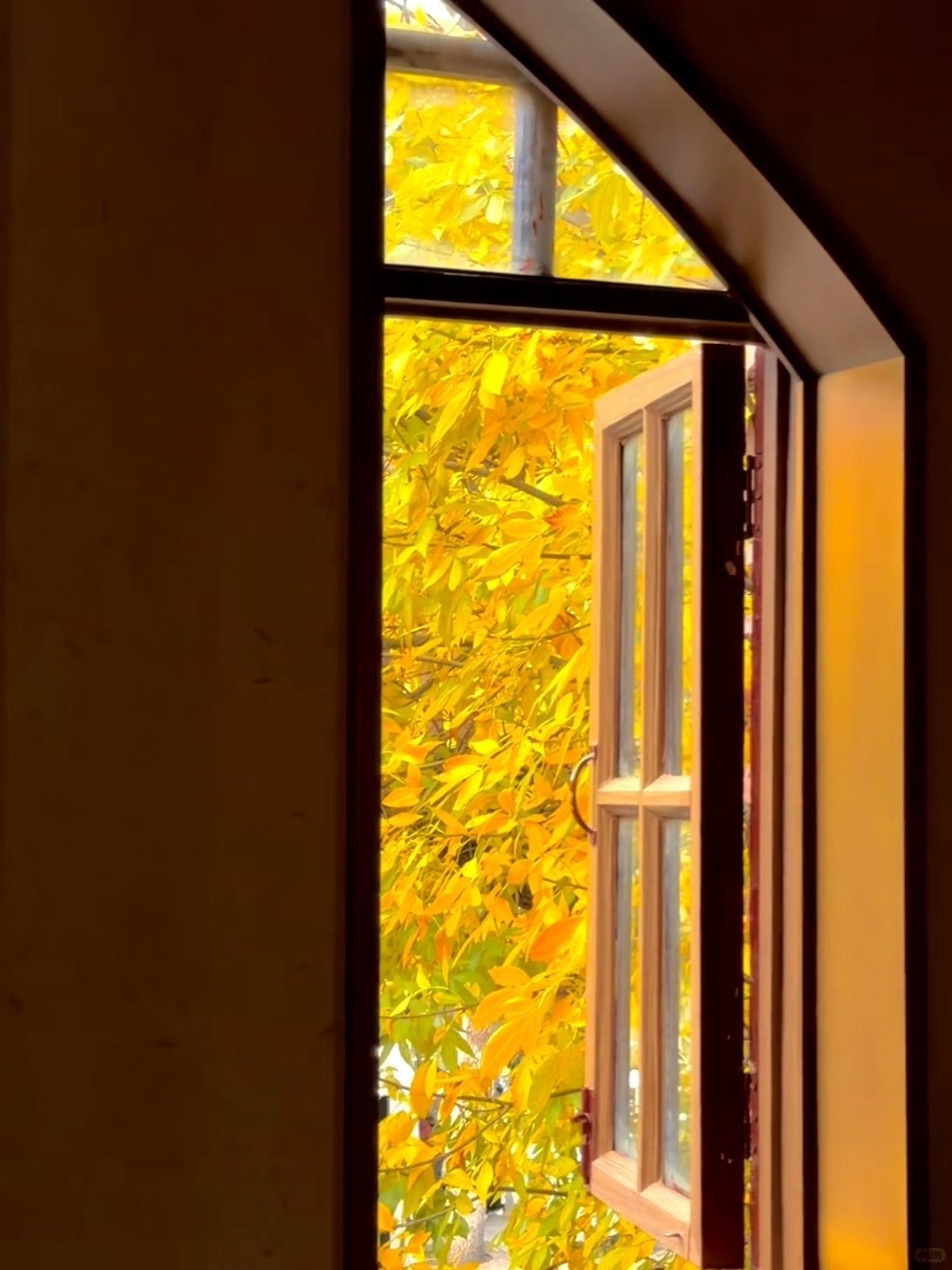 相见时难别亦难，东风无力百花残 ​​​