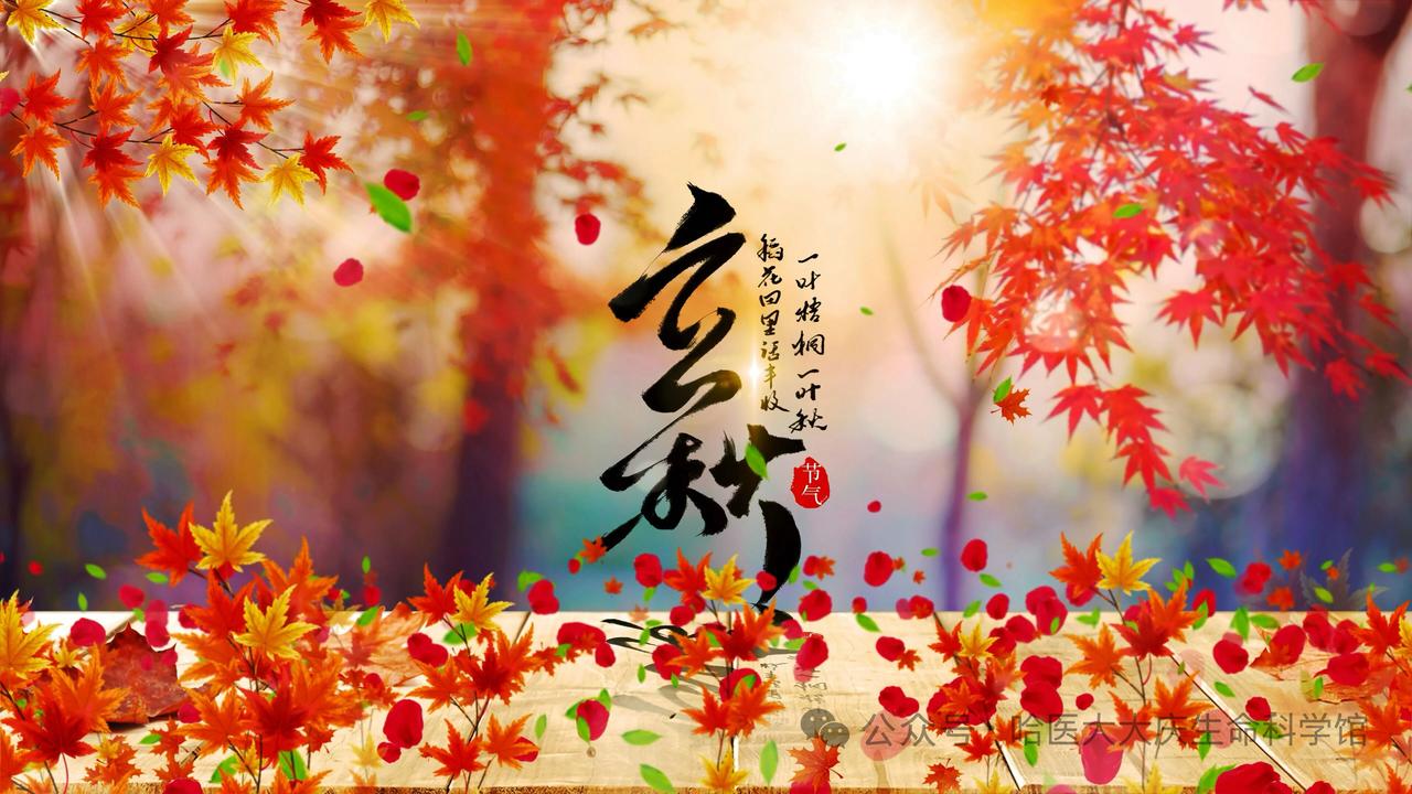 江月晃重山 · 立秋

空调初停湿响，电扇闲歇匆忙。晚来风过送清凉。街头客，身爽