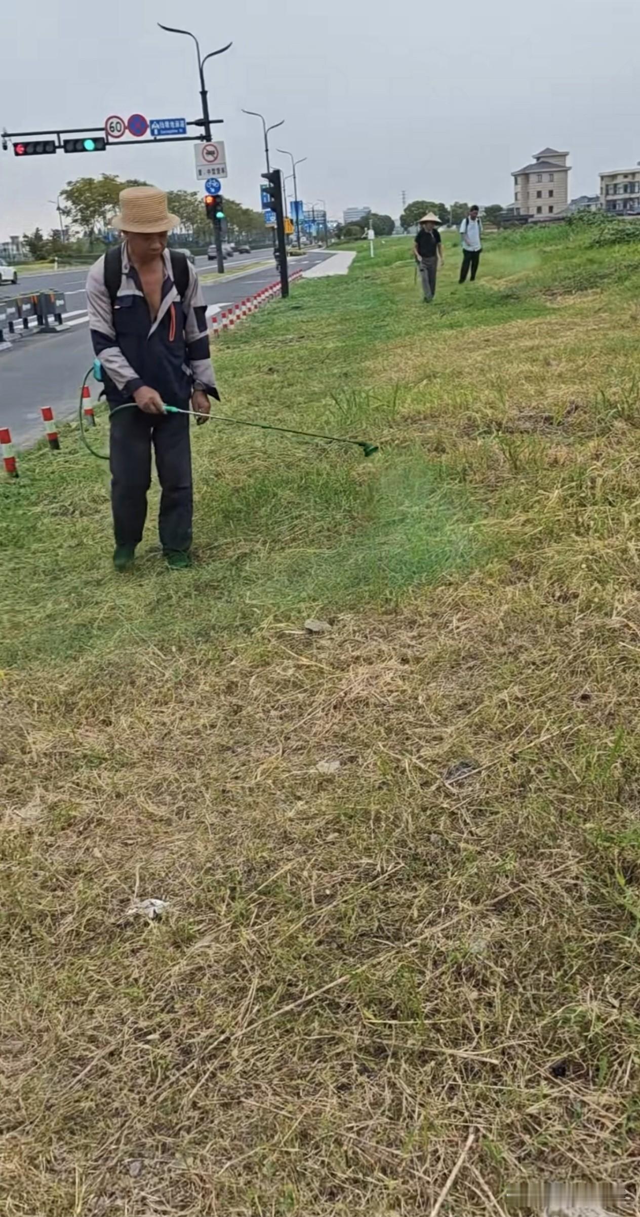 这是做甚么呢？这是做甚么呢？
请各抒起见 今个收工早