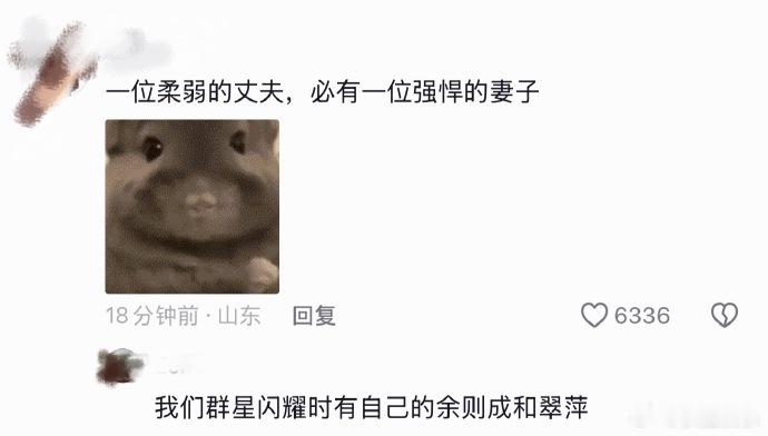 群星闪耀时有自己的余则成和翠萍群星闪耀时你早说你是这种风格啊 我说怎么越看越上头