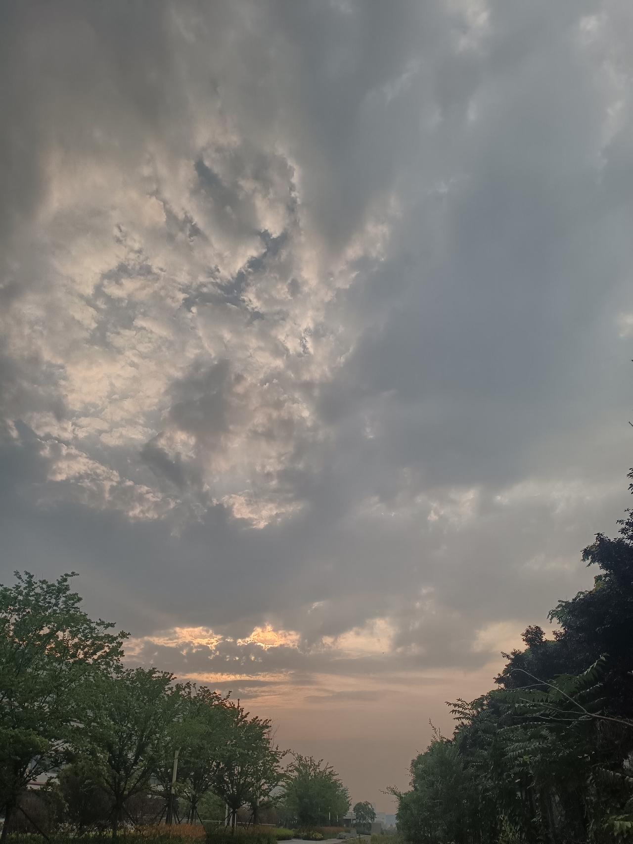  清晨的云絮揉着浅金，灰调的天幕下，夏风轻拂着路旁的树影。