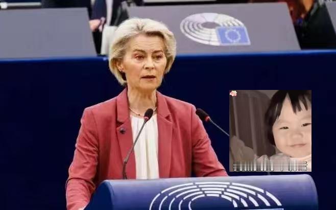 欧盟在世贸组织正式发布！
欧盟在世贸组织正式撤销了针对中国的贸易诉讼。2025年