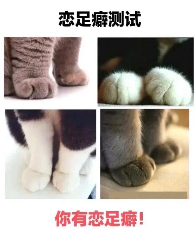 恋足癖测试 ​​​