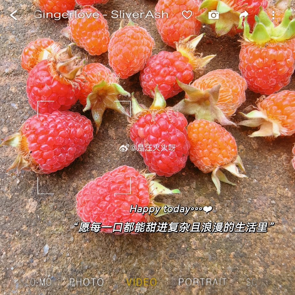 认识吗？？？野生草莓