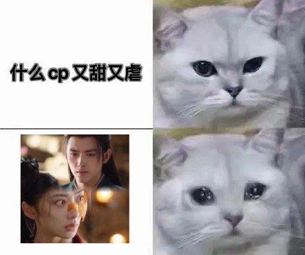 献鱼有多甜就有多虐师祖的眼神里藏着千言万语，看着廖停雁被逼做违心之事，那双眼睛仿